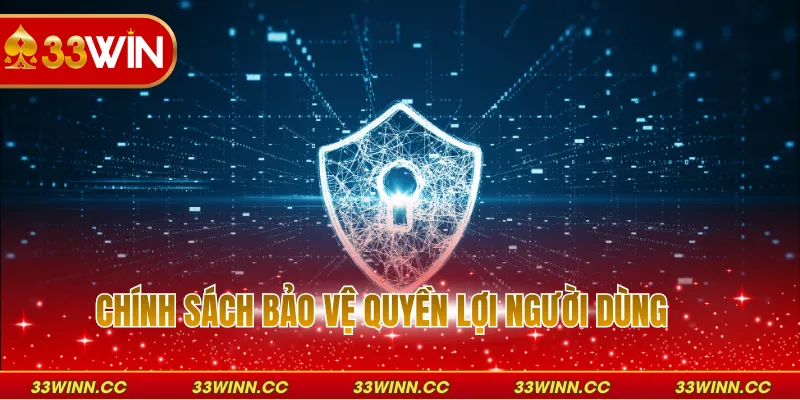 Chính sách bảo vệ quyền lợi người dùng