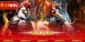 Đá Gà Cựa Dao - Nghệ Thuật Chinh Phục Đỉnh Cao Cá Cược