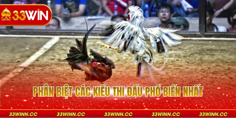 Phân biệt các kiểu thi đấu phổ biến nhất